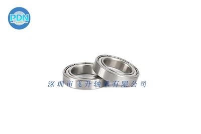 6804ZZ Bearing