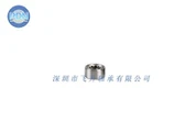 691XZZ Bearing